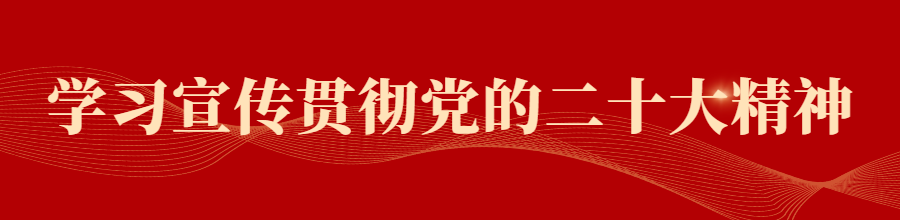 北京市学习贯彻党的二十大精神宣讲团市委社会工委市民政局报告会举行
